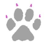 Bud Edwards - @whkennel - Instagram