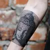 dreem fighter - @budhaas - TikTok