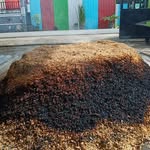 Budihartanto - @bud_hartanto - Instagram