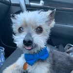 Bud Hoffman - @budfugly - Instagram
