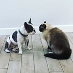 Angel Jenner - @whenhurleymetbuddy - Instagram
