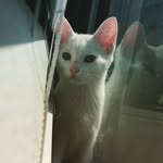 Buddy Hurley - @hbuddy.20 - Instagram