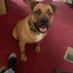 Buddy Slade Hurley - @buddysladehurley - Instagram