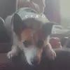 budyhurley - @bubgfmhpqj4 - TikTok