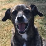 Bud Lacy - @budlacy9 - Instagram