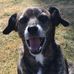 Bud Lacy - Facebook