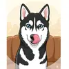 Budy Lambady - @budylambady - TikTok