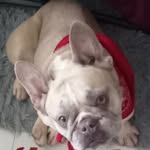 Ave kemp - @budlong_ave_b - Instagram