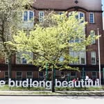 Budlong Elementary School - @budlongelementary - Instagram
