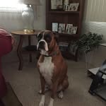 Joyce Clark Budlong - @budlongjoyce - Instagram