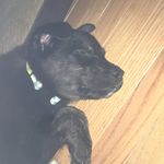 Murphy Spencer - @my_bud_murphy - Instagram