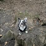 Buddy Myers - Facebook