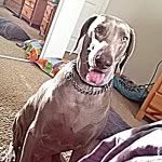 Buddy Myers-Norys - @mr_buddums - Instagram