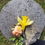 Buddy Naylor - @naylorbuddy - Instagram
