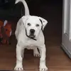 buddynaylor - @buddynaylor - TikTok