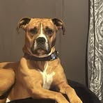 Bud Norris - Facebook