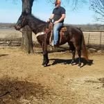Bud Pierce - @bud.pierce.71 - Instagram