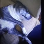 Bud Pierce - @bud.pierce.752 - Instagram