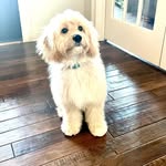 Buddy Pierce - @bud_e_pierce - Instagram