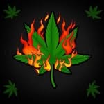🇬🇧 BudPostage 🔥 - @budpostage4u - Instagram
