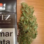 Bud Post - @bud_4_dayzzlow - Instagram