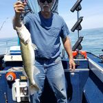 Bud Price - @turttle53 - Instagram