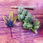 Bud Robertson - @kingbud514 - Instagram