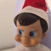 Buddy Simpson - @buddy_theelfontheshelf - TikTok