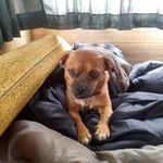 Buddy Tipton - @miketipton3 - Instagram