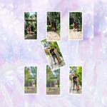 Ketut Wardani - @wardani.bud - Instagram