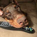 Watson Ledden - @watson_bud - Instagram