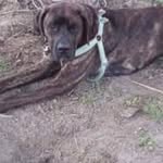 Buddy - @buddy_wenzel - Instagram