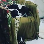 BUDDY & BELL - @buddyebell - Instagram