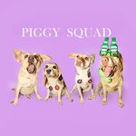 Buddy Bella Elmo Luna - @buddynbellabb - Instagram