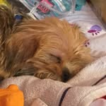 Buddy Blackman - @buddy_tis_great - Instagram