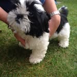 Buddybearblackman - @buddybearblackman - Instagram