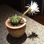 Buddy Bond - @buddybond5305 - Instagram