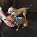 Buddy Bond - Facebook