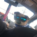 Buddy Boyd - @buddythechuggle - Instagram