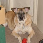 Buddy Boyd - @buddy.boyd.7949 - Instagram