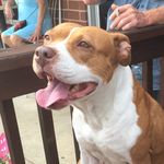 Buddy Boyd - @gbigs79 - Instagram