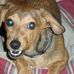 Buddy Boyd - Facebook