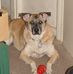 Buddy Boyd - Facebook