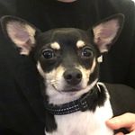 Buddy Boyd - @buddy_bees - Instagram