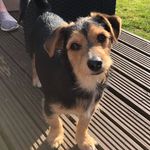 Buddy Boyd ❤️ - @buddyboyd123 - Instagram