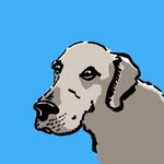 Ethan Neudorf - @buddyboydogtraining - Instagram