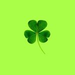 Buddy burton - @buddy08112024 - Instagram