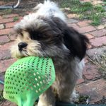 Buddy Burton - @budz_0915 - Instagram