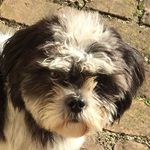 Buddy Burton - @budz.02915 - Instagram