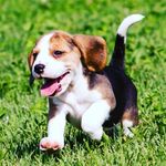 Buddy Burton - @buddy_burton_ - Instagram